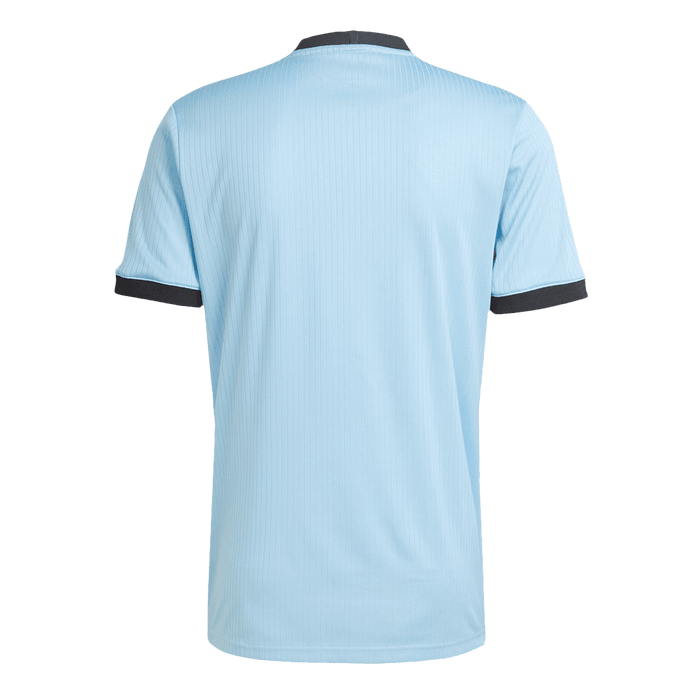Germany 125th Anniversary Goalkeeper Soccer Jersey 2025 Blue
